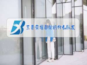 王者荣耀都给的什么队友