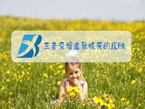 王者荣耀道聚城买的皮肤邮件会过期吗