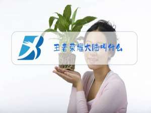 王者荣耀大陆叫什么