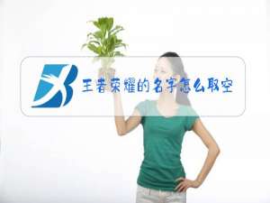 王者荣耀的名字怎么取空名子