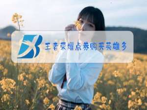 王者荣耀点券购买英雄多少钱