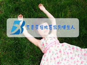 王者荣耀地区狼狗哪里人少