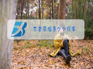 王者荣耀多少个玩家