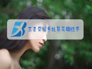 王者荣耀单挑算英雄胜率吗