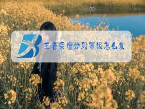 王者荣耀分段等级怎么发