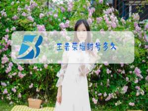 王者荣耀封号多久