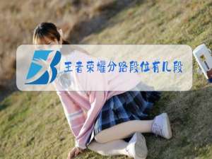 王者荣耀分路段位有几段