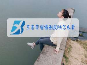 王者荣耀福利皮肤怎么看