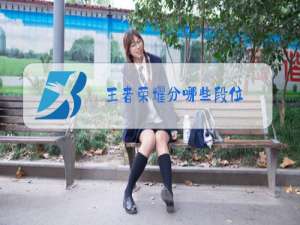 王者荣耀分哪些段位