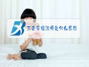 王者荣耀法师是什么意思