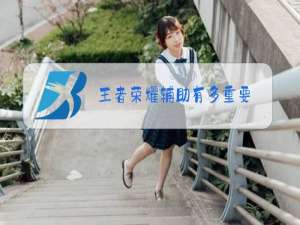 王者荣耀辅助有多重要