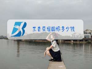 王者荣耀国标多少钱