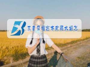 王者荣耀宫本武藏大招怎么锁定别人