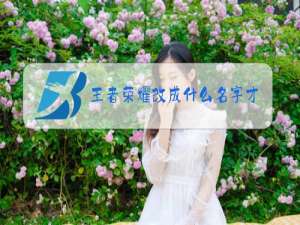 王者荣耀改成什么名字才好赢