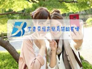 王者荣耀高端局辅助有哪些