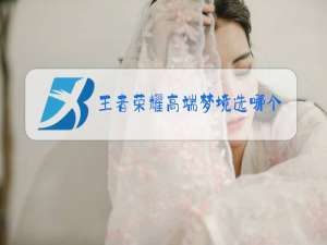 王者荣耀高端梦境选哪个