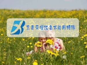 王者荣耀改名不能用特殊符号了吗