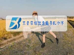 王者荣耀改名最多几个字母