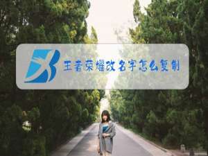 王者荣耀改名字怎么复制粘贴上去