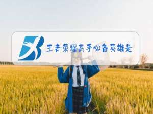 王者荣耀高手必备英雄是怎么评定的