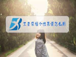 王者荣耀个性表情怎么用