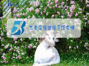 王者荣耀结婚系统在哪