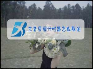 王者荣耀计时器怎么取消