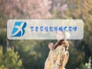 王者荣耀教学模式在哪