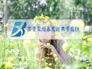 王者荣耀基友能共享皮肤吗