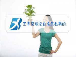 王者荣耀空白名怎么取的