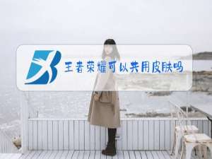 王者荣耀可以共用皮肤吗