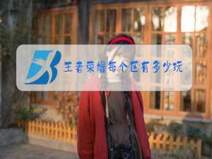 王者荣耀每个区有多少玩家