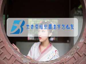 王者荣耀里面名字怎么复制粘贴