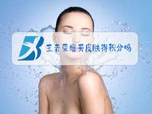 王者荣耀买皮肤得积分吗