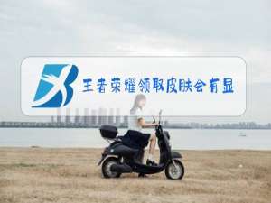 王者荣耀领取皮肤会有显示吗