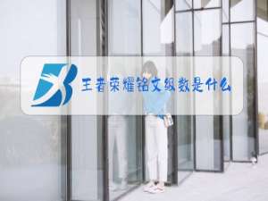 王者荣耀铭文级数是什么意思