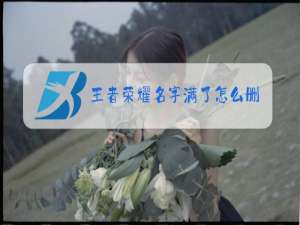 王者荣耀名字满了怎么删