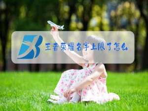 王者荣耀名字上限了怎么办