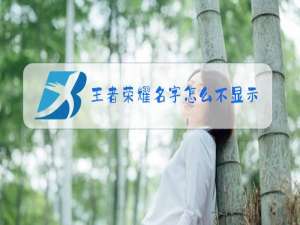 王者荣耀名字怎么不显示特殊符号
