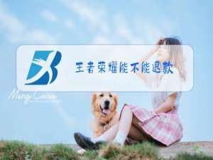 王者荣耀能不能退款