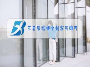 王者荣耀哪个刺客英雄可以