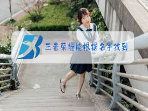 王者荣耀能根据名字找到人吗