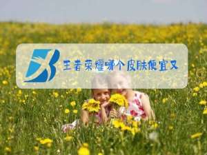 王者荣耀哪个皮肤便宜又好