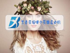 王者荣耀哪个英雄适合购买