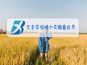 王者荣耀哪个英雄最能秀