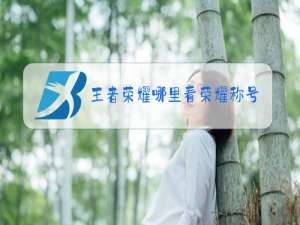 王者荣耀哪里看荣耀称号