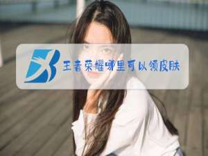 王者荣耀哪里可以领皮肤体验卡