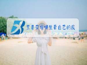 王者荣耀哪里看自己的皮肤