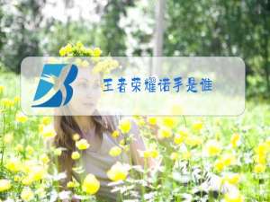 王者荣耀诺手是谁