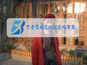 王者荣耀皮肤能退吗苹果